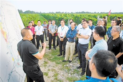<p>　　8月28日，媒体嘉宾在志辉源石酒庄了解宁夏贺兰山东麓葡萄酒产业发展情况。</p><p>　　