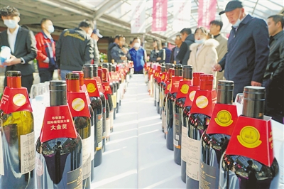 <p>　　第九届宁夏贺兰山东麓国际葡萄酒博览会引得众多葡萄酒爱好者到访这座“葡萄酒之都”品酒会友。</p>